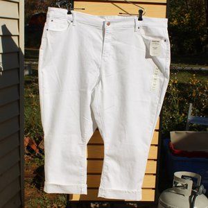 Levi Signature Gold Mid-Rise Capri - Women's Size 24